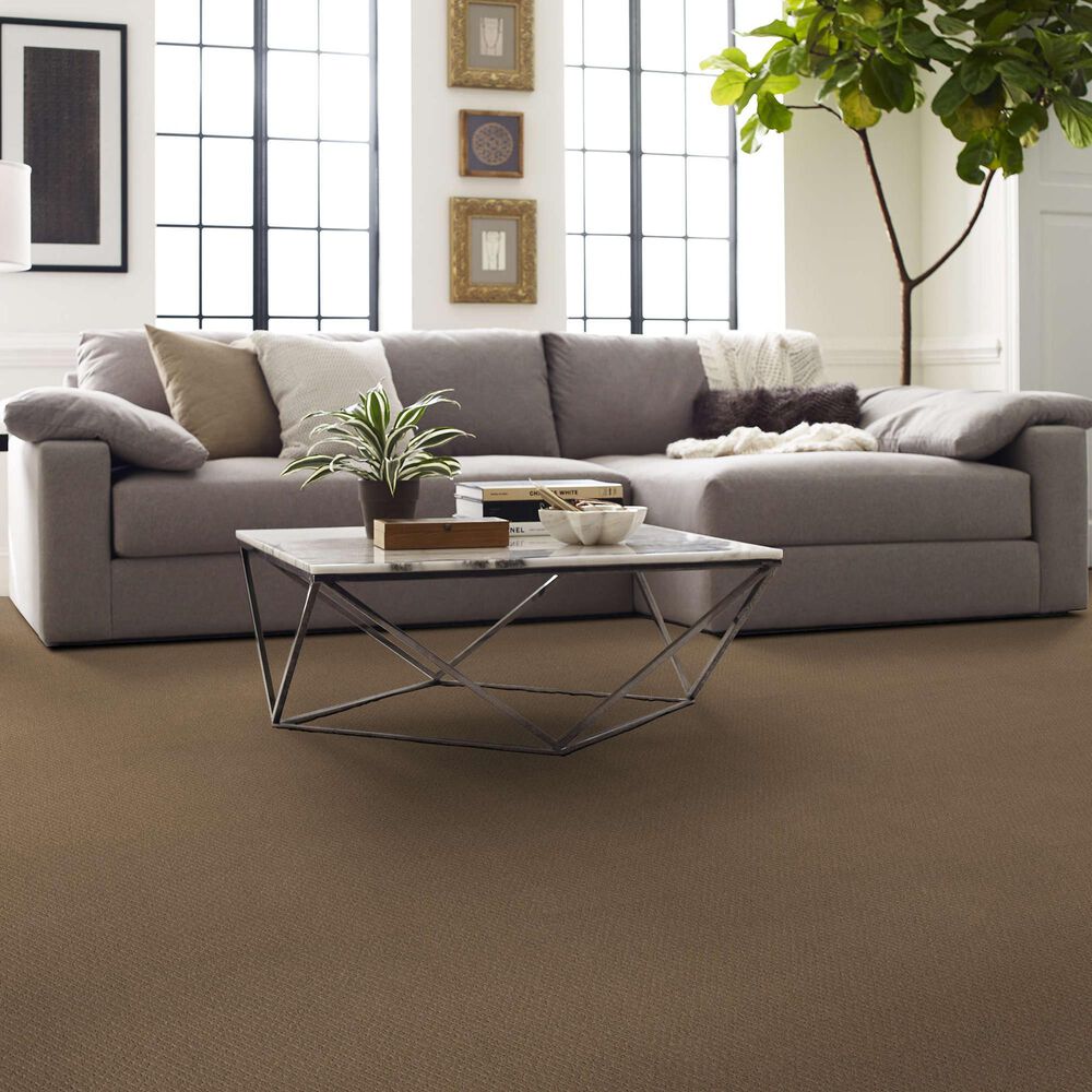 Shaw Simply Classic Carpet in Worn Path, , large