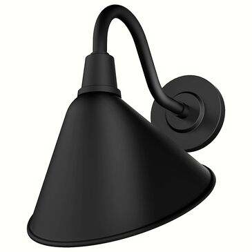 Hunter Cassius 1-Light Outdoor Medium Wall Light in Matte Black, , large