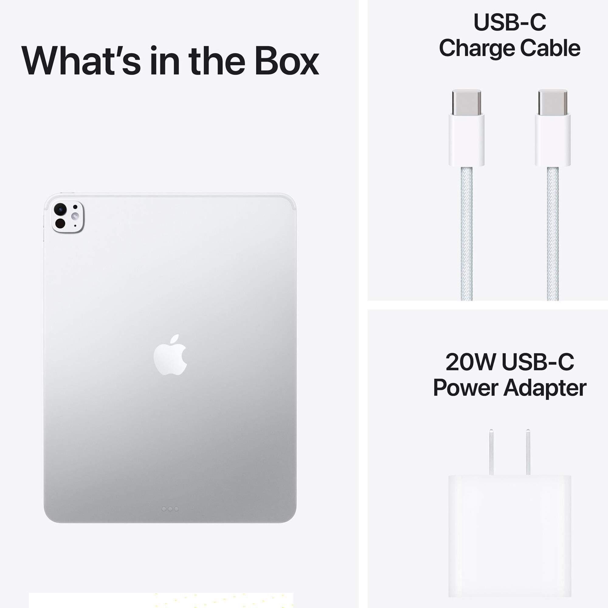 Apple 13