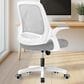 HOMLUX Swivel Ergonomic Office Chair with Flip Up Arms in Gray, , large