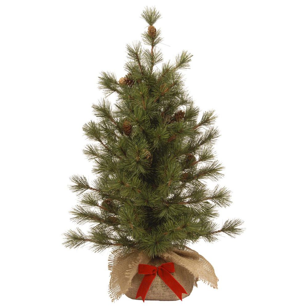 National Tree 3" Bristle Cone Pine Tree, , large