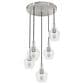 Hunter Maple Park 5-Light Cluster in Brushed Nickel, , large