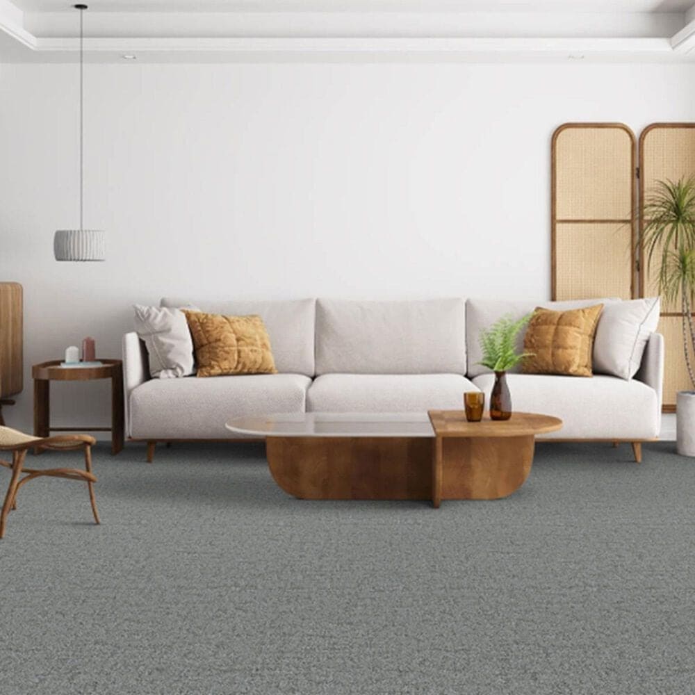 Dixie Home Genuine Carpet in Valid, , large