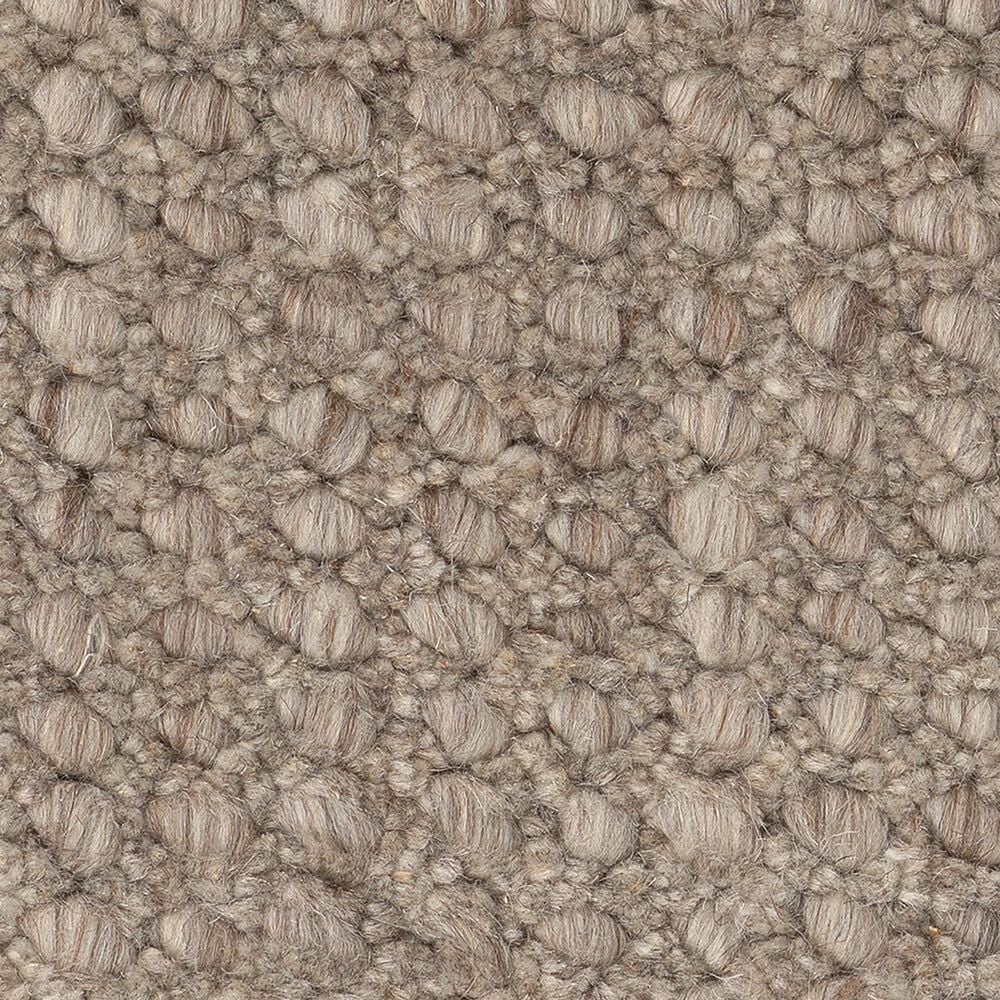 Anderson Tuftex Tactile Carpet in Mocha, , large