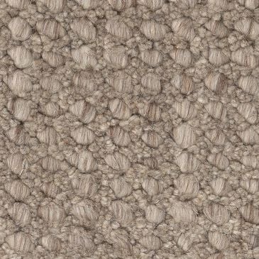 Anderson Tuftex Tactile Carpet in Mocha, , large