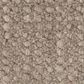 Anderson Tuftex Tactile Carpet in Mocha, , large