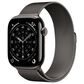 Apple Watch Series 11 (GPS+Cellular) 46mm Titanium Case with Milanese Loop - S/M in Slate and 2-Year AppleCare+, , large
