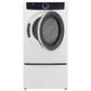 Electrolux 8 Cu. Ft. Front Load Gas Dryer with LuxCare in White, , large