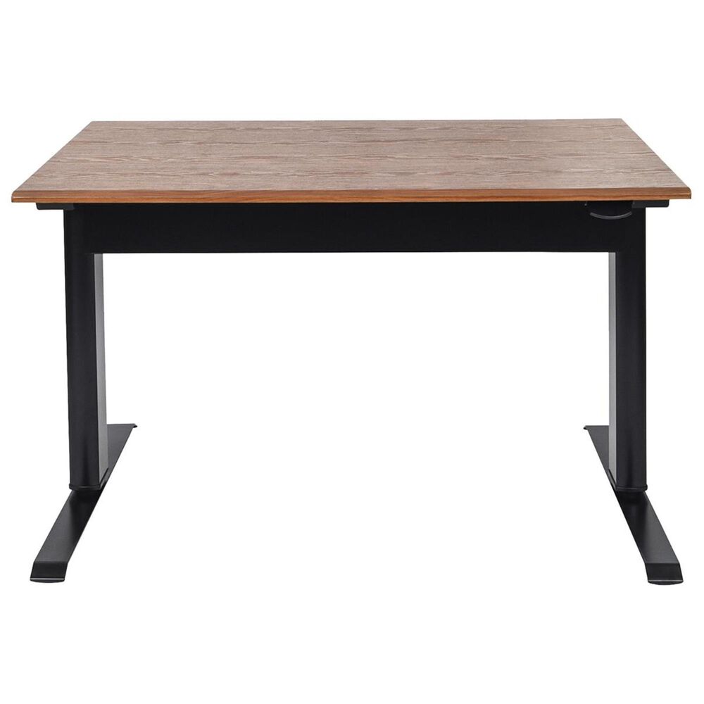 Luxor 48" Pneumatic Adjustable Height Standing Desk in Black/Teak