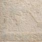 Loloi Adelaide 9"6" x 13"6" Ivory and Natural Area Rug, , large