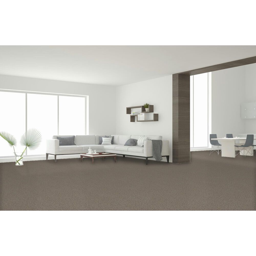 Dream Weaver Serene III Carpet in Cottondale, , large