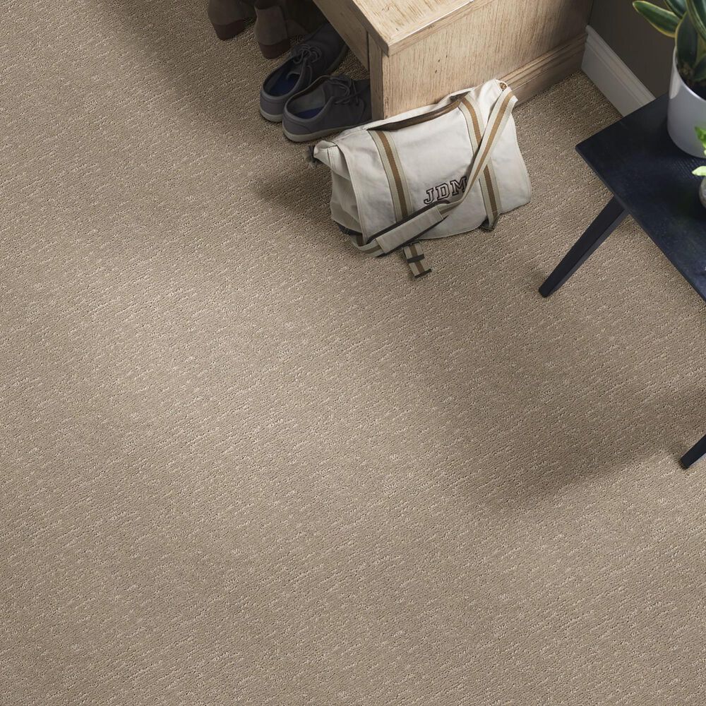 Anderson Tuftex Contour Carpet in Reflection, , large