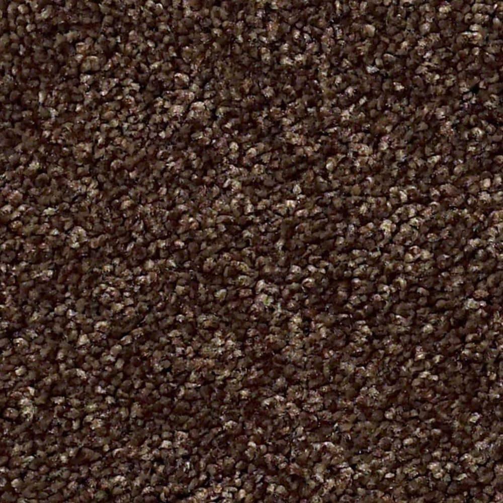 Shaw Find Your Comfort NS I Carpet in Chocolate Treat, , large