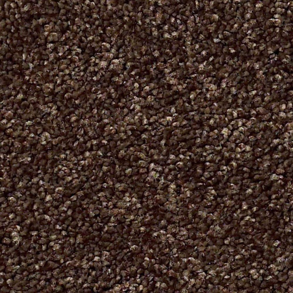 Shaw Find Your Comfort NS I Carpet in Chocolate Treat, , large