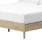 Ashley Cielden King Platform Bed in Tan, , large