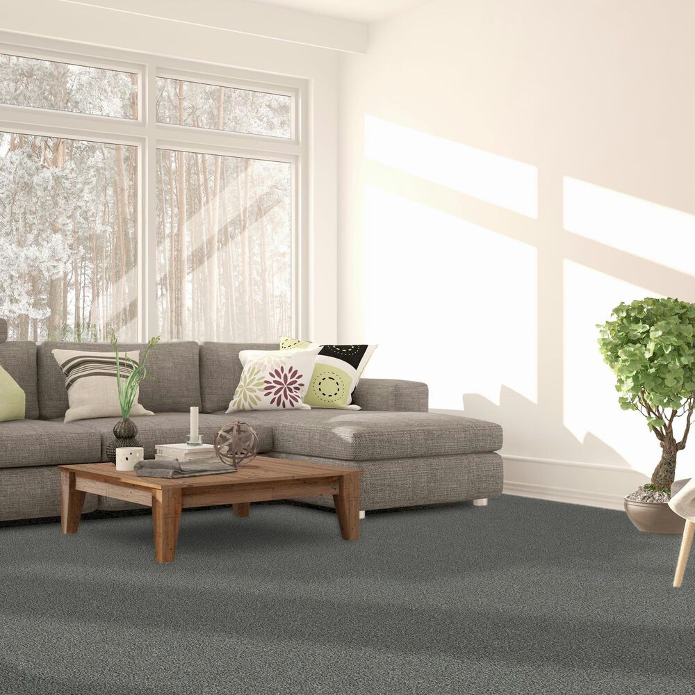 Dream Weaver Breakview I Carpet in Templeton, , large