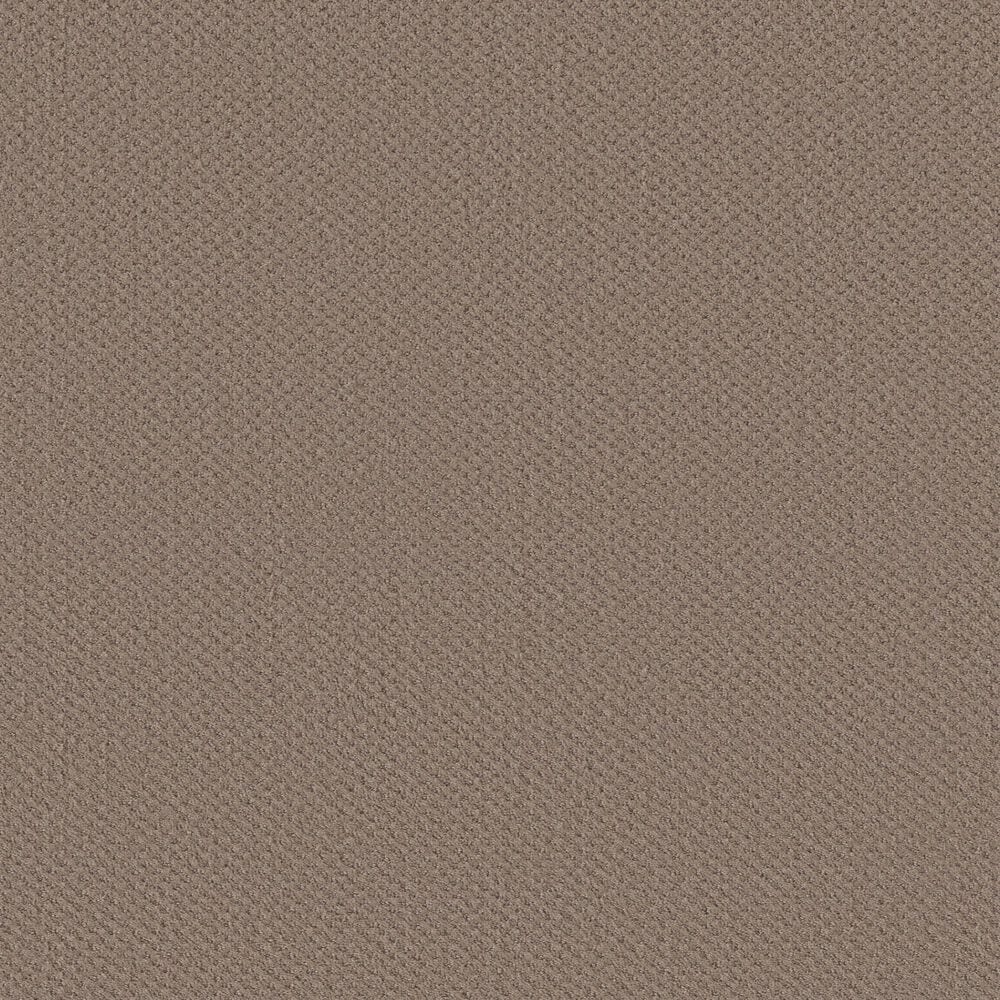Shaw Austin Park Carpet in Pure Earth, , large