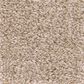 Shaw Bellera Secret Passage Carpet in Kidskin, , large