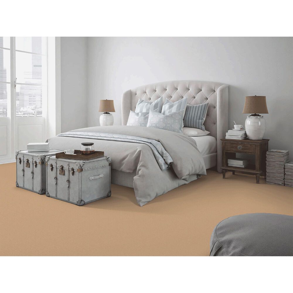 Dixie Home Neverland Carpet in Maple Valley, , large