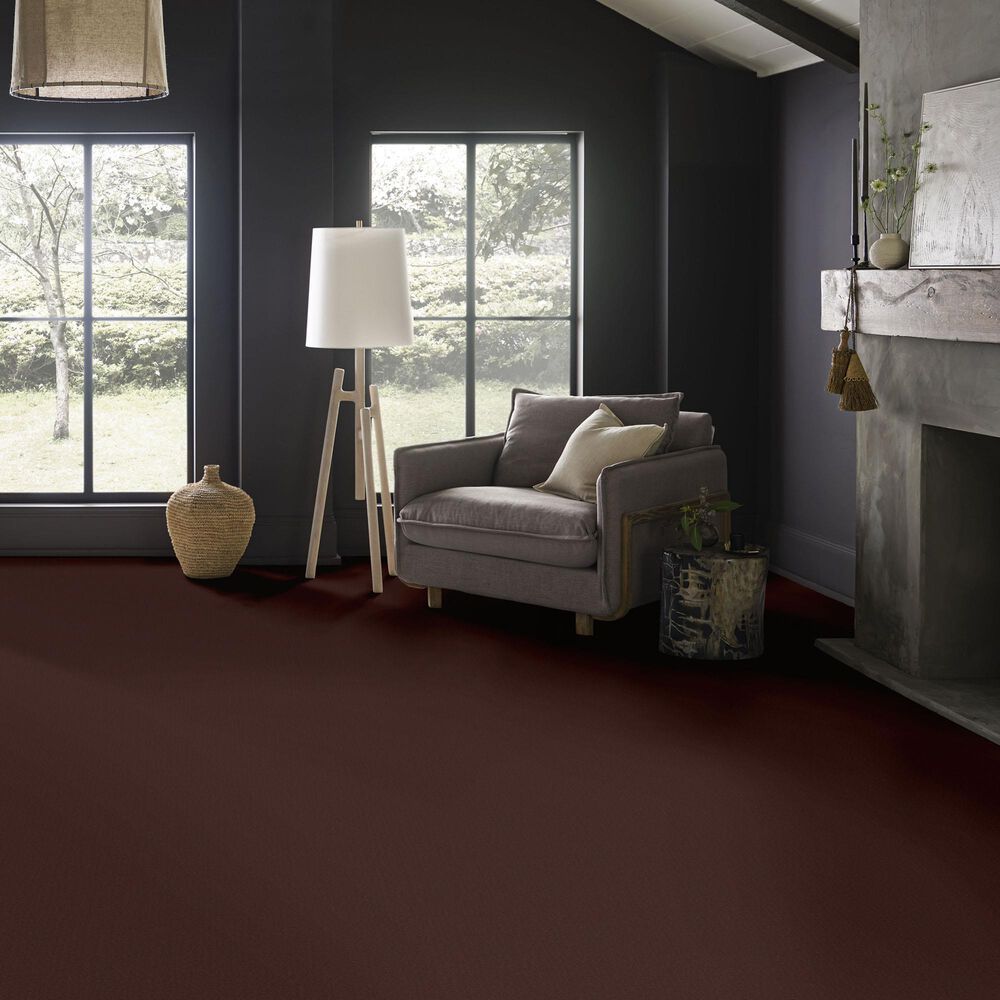 Anderson Tuftex Finery Carpet in Umber, , large
