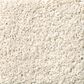 Philadelphia Keen Senses II Carpet in Alabaster, , large