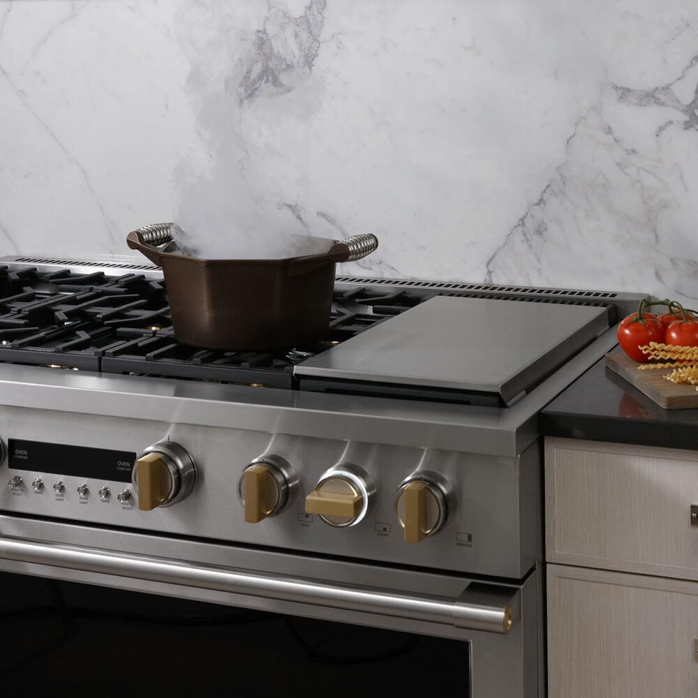 Monogram 48" DualFuel Professional Range with 6 Burners and Steam