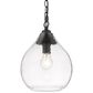 Golden Lighting Ariella 1-Light Small Pendant in Matte Black, , large