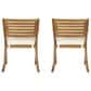 Hearth and Haven Hermosa Outdoor Dining Chair with Cushion in Teak (Set of 2), , large