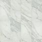 Shaw Pylon SPC Carrara White 12" x 24" Luxury Vinyl Tile, , large