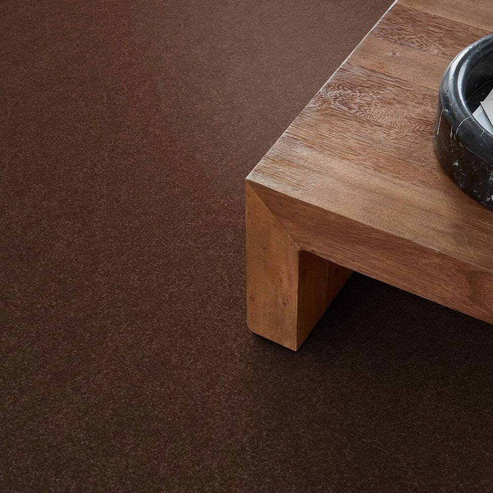 Shaw Hard At Play II Carpet in Orange Oxide, , large