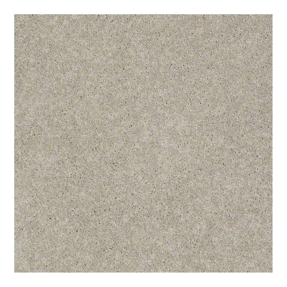 Anderson Tuftex Bear Carpet in Alabaster, , large