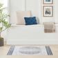 Nourison Astra Machine Washable ASW05 3"3" x 5" Ivory and Blue Area Rug, , large