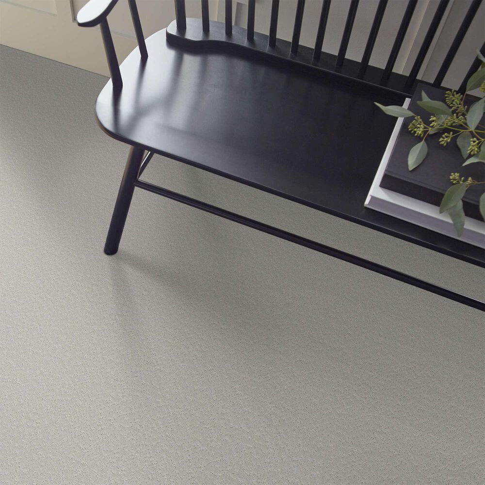 Shaw Clever Choice Carpet in Forest Fog, , large