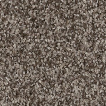 Anderson Tuftex Terra Nova Carpet in Arrowhead, , large