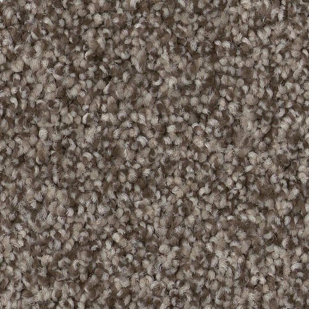 Anderson Tuftex Terra Nova Carpet in Arrowhead, , large