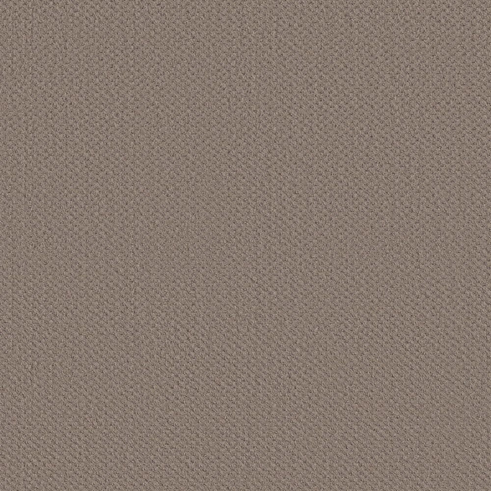 Shaw Austin Park Carpet in Open Canyon, , large