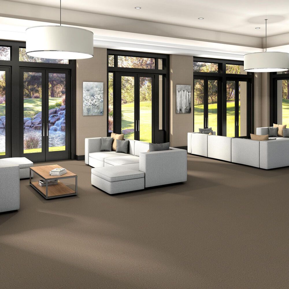 Shaw You Got This III Carpet in Warn Path, , large