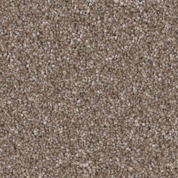 Shaw Imaginable III Carpet in Weathered, , large