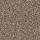 Shaw Imaginable III Carpet in Weathered, , large
