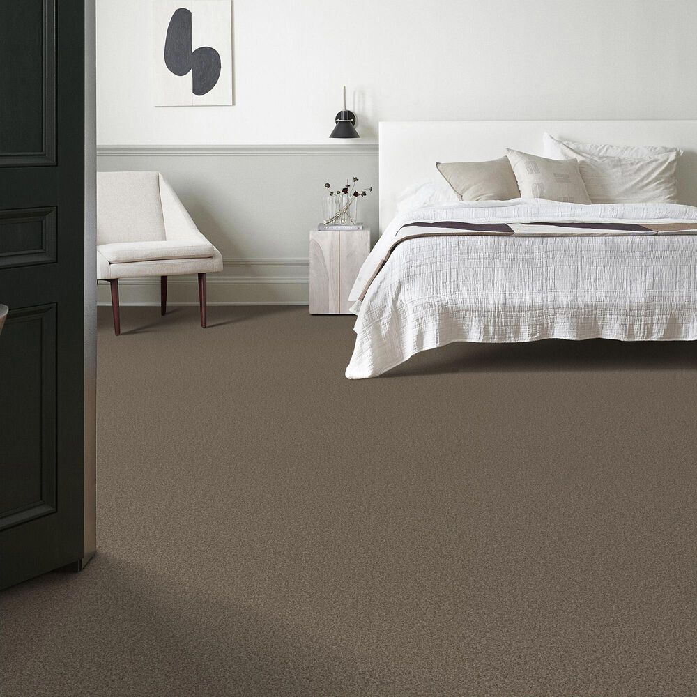 Anderson Tuftex Avalon Bay Carpet in Smokehouse, , large