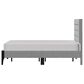 Richlands Furniture Maryhill King Platform Bed with Light Gray Upholstery in Black, , large