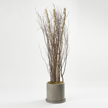 DandW Silks 7" Birch Poles and Tops in Grey Marta Pot, , large