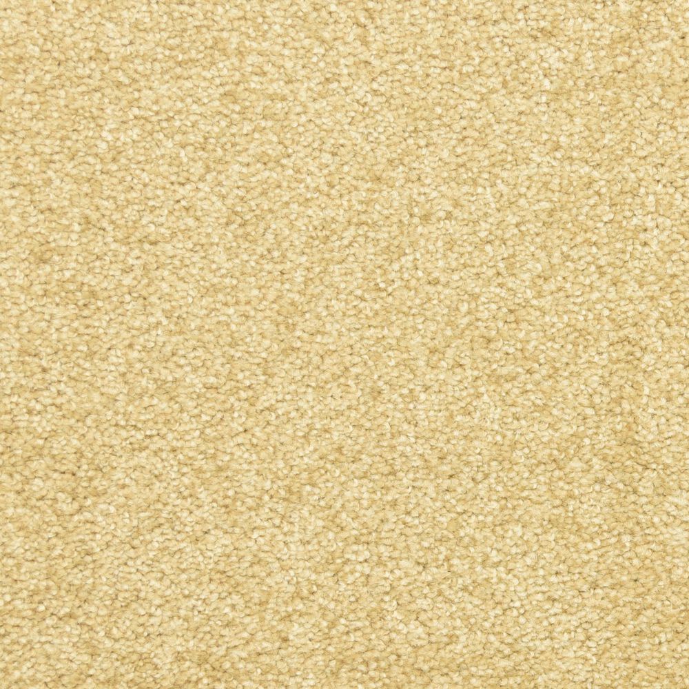 Dixie Home Debut Carpet in Camelite, , large
