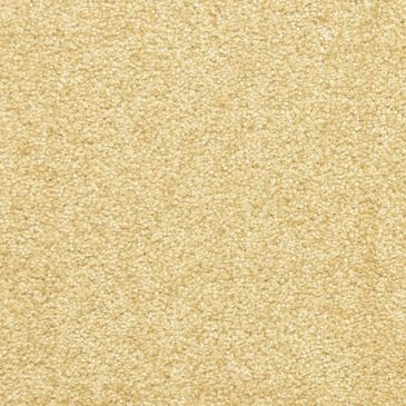 Dixie Home Debut Carpet in Camelite, , large