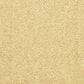 Dixie Home Debut Carpet in Camelite, , large