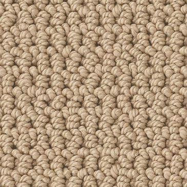 Anderson Tuftex Arden Park Carpet in Powdered Gold, , large