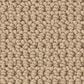 Anderson Tuftex Arden Park Carpet in Powdered Gold, , large