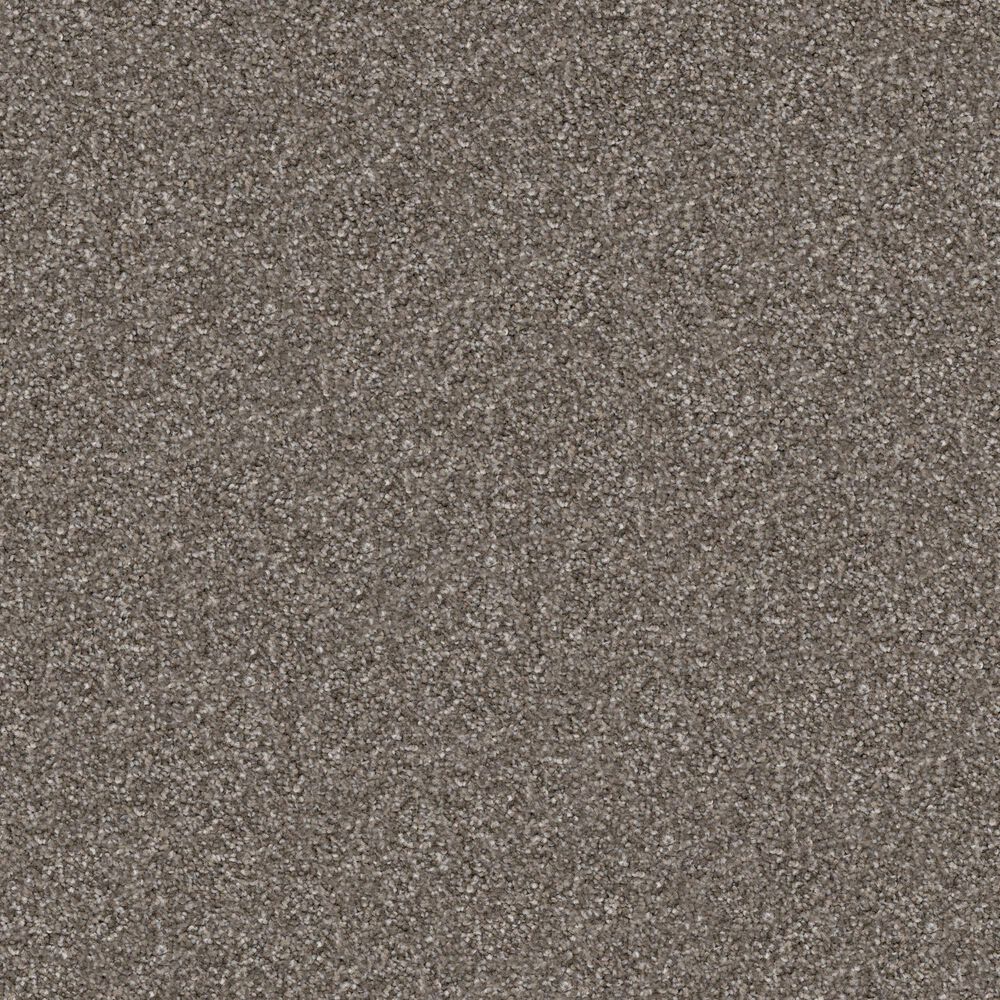 Masland Falcon Crest Carpet in Lady, , large