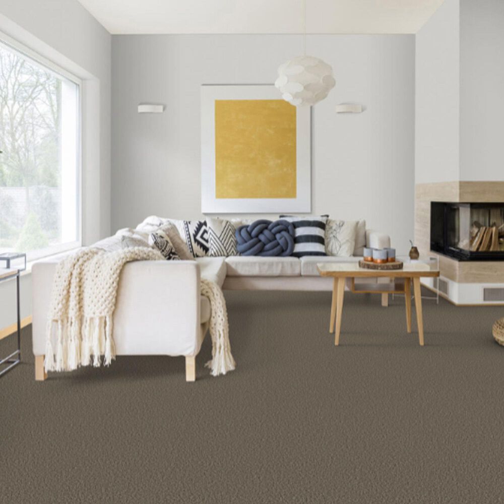 Dixie Home Riverbend Carpet in Boulder, , large