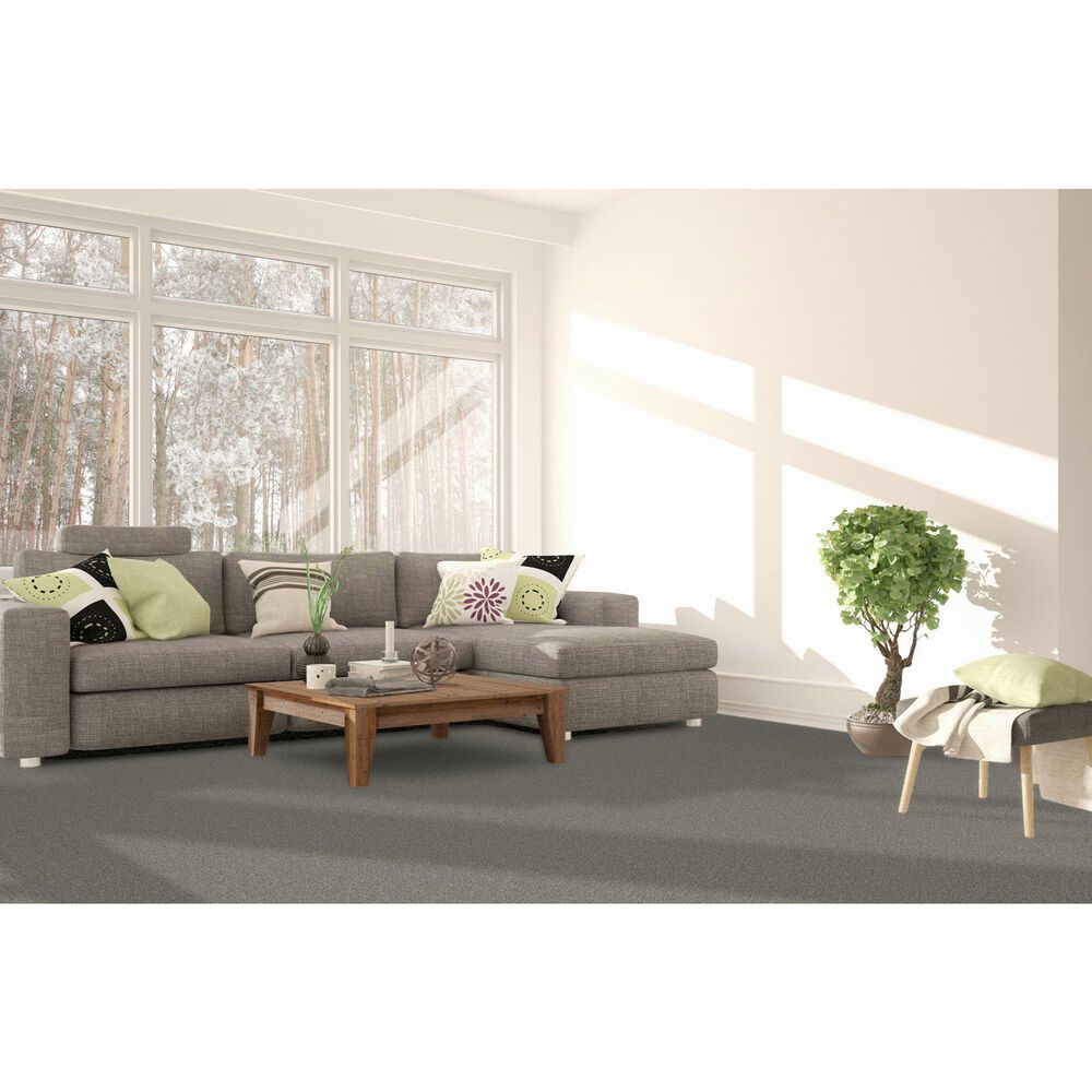 Dream Weaver Royale II Carpet in Winterscape, , large